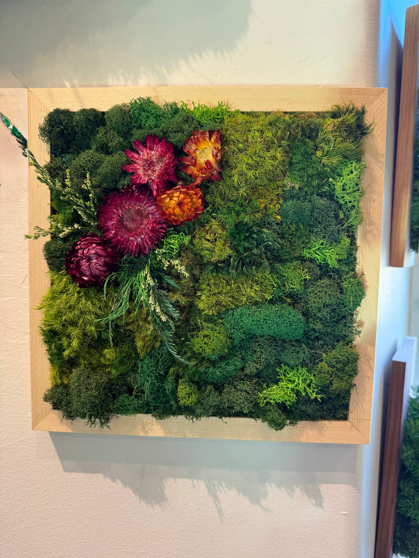 Enchanted Framed Moss Art Workshop