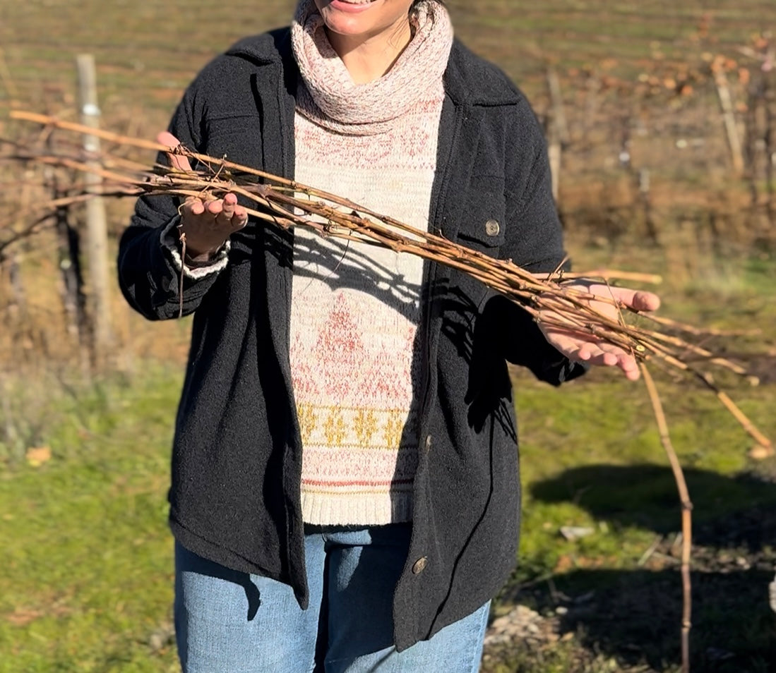 Vines & Wine: Craft Your Winter Wreath from Our Vineyard Vines